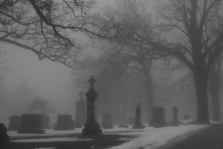 a cemetery in the snow with trees and tombstones on it's sides, surrounded by fog