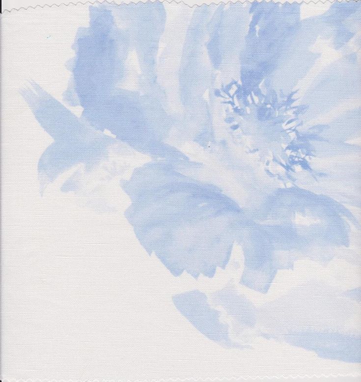 a large blue flower on a white background