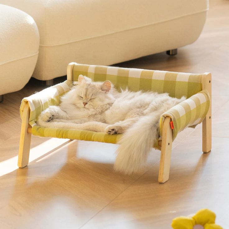 a white cat laying on top of a green and white chair in a living room