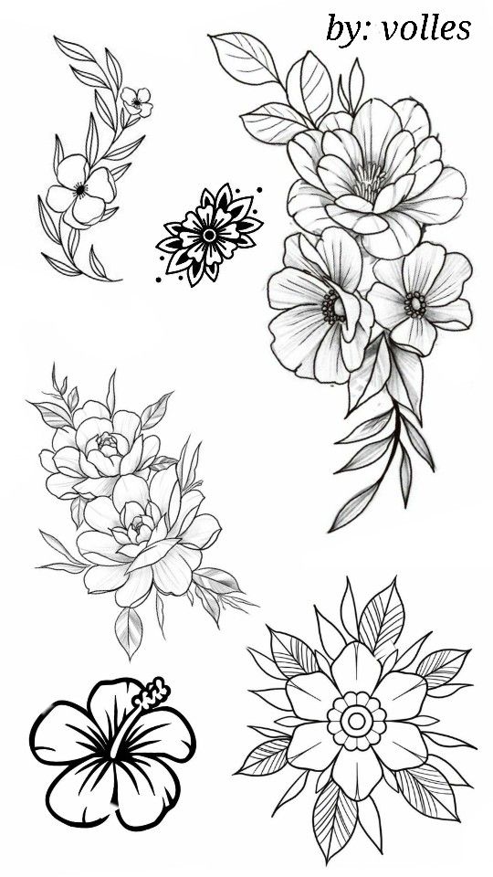 flowers and leaves are drawn in black ink on a white background with the words, by volies