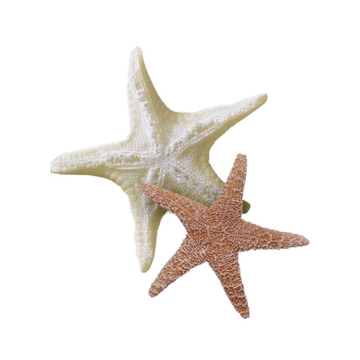 two starfishs are standing next to each other