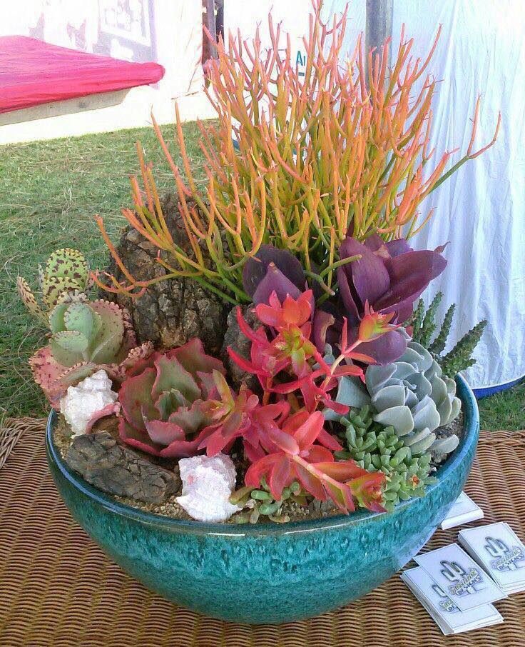 a blue bowl filled with plants on top of a table