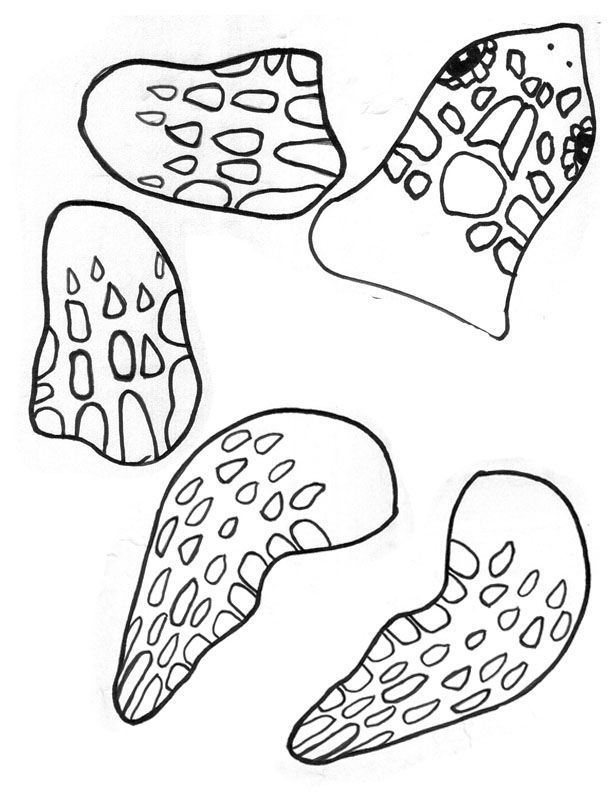 four different shapes and sizes of rocks on a white background, one is drawn in black ink