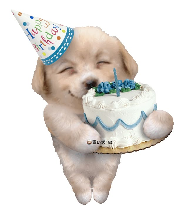 a dog is holding a birthday cake with its paws on it's face while wearing a party hat