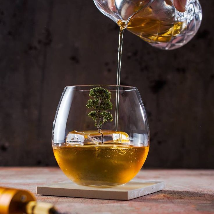 someone is pouring tea into a glass with a small tree in it