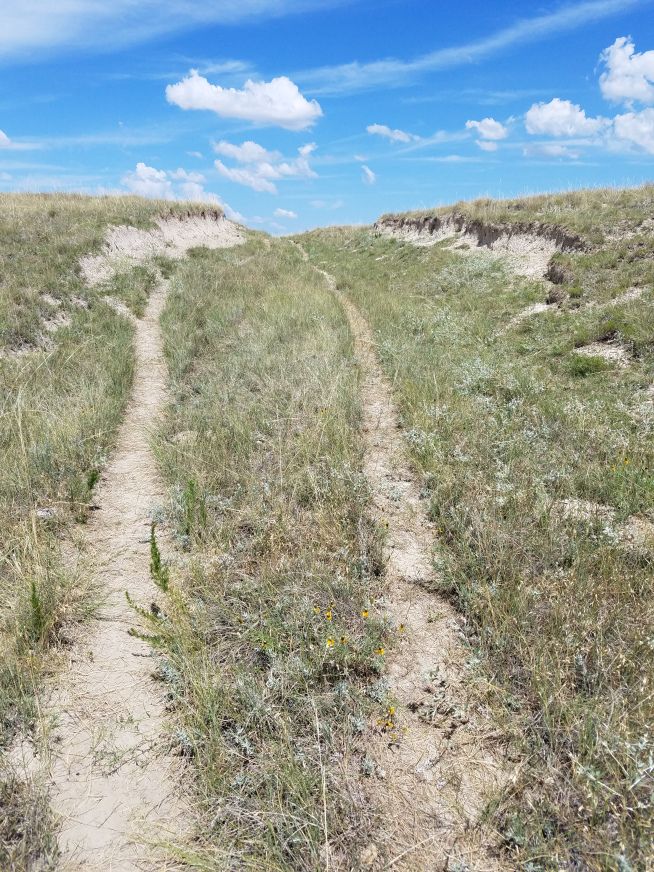 a dirt path in the middle of a grassy field