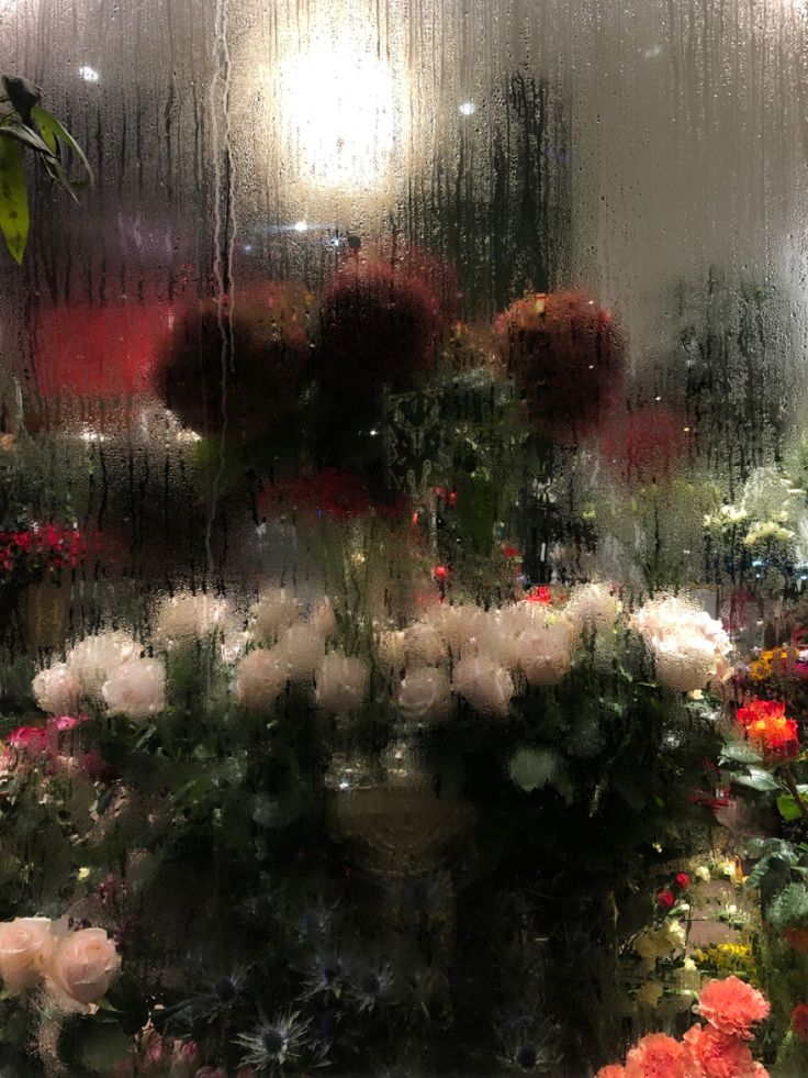 a bunch of flowers that are sitting in front of a glass window with rain drops on it