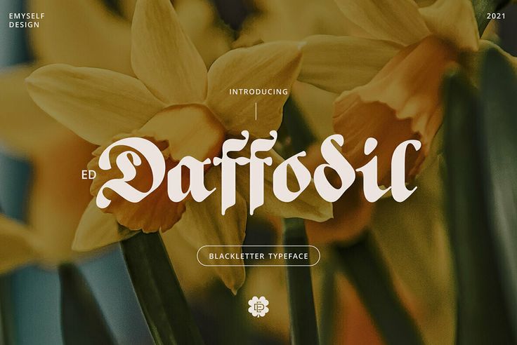 the word daffosc is written in white and has yellow flowers on it