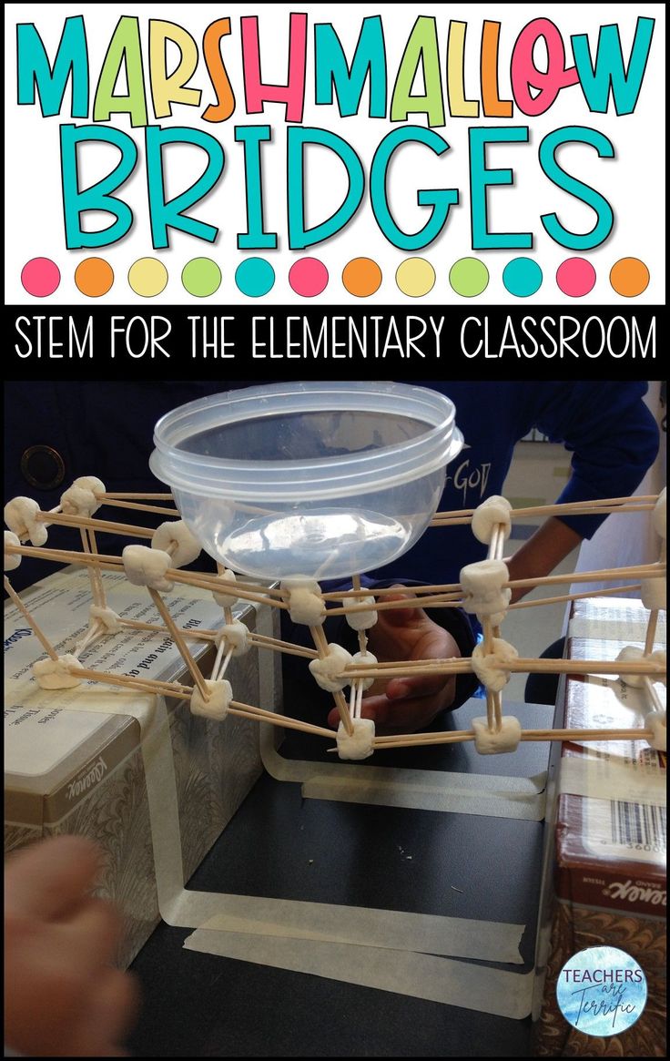 Newtons 1st Law Of Motion Activities, Makerspace Elementary Projects, Makerspace Challenges, Stem Activities Elementary, Spaghetti Tower, Thanksgiving Stem, Stem Students, Newton's Cradle, Stem Classes