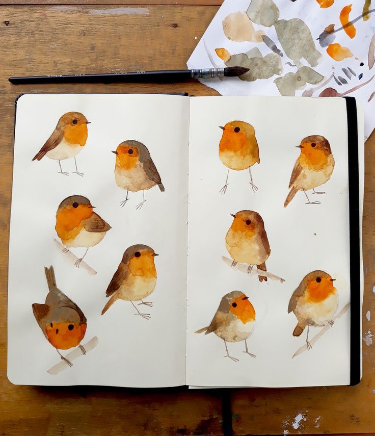 an open book with watercolor drawings of birds on it and paintbrushes next to it