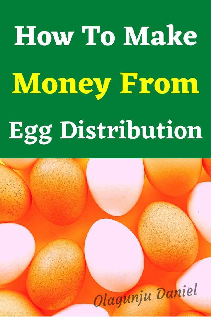 an image of eggs with the words how to make money from egg distribution on it