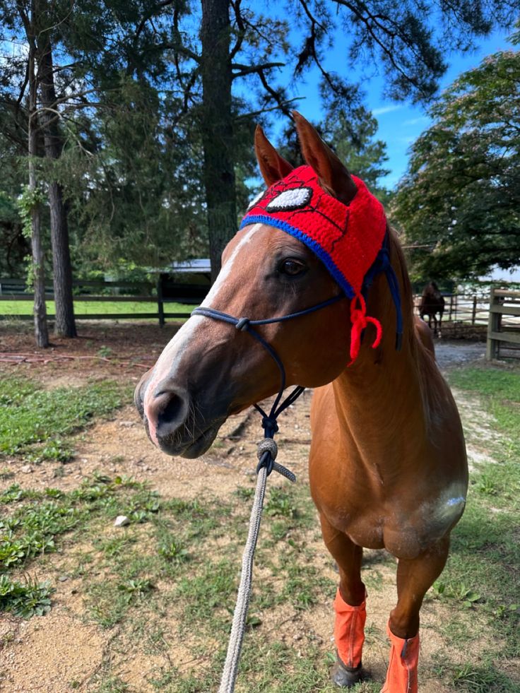 a brown horse with orange boots and a red hat on it's head standing in the grass