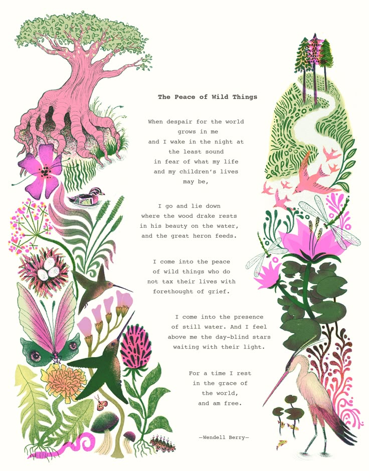 Poem Illustration The Peace of Wild Things Kristina Gauer Illustrator Nature Illustration Wild Nature Illustration, Peace Of Wild Things, The Peace Of Wild Things Wendell Berry, Mother Words, The Peace Of Wild Things, Poem Illustration Art, Mother Nature Poem, Wild Nature Quotes, Poem And Drawing