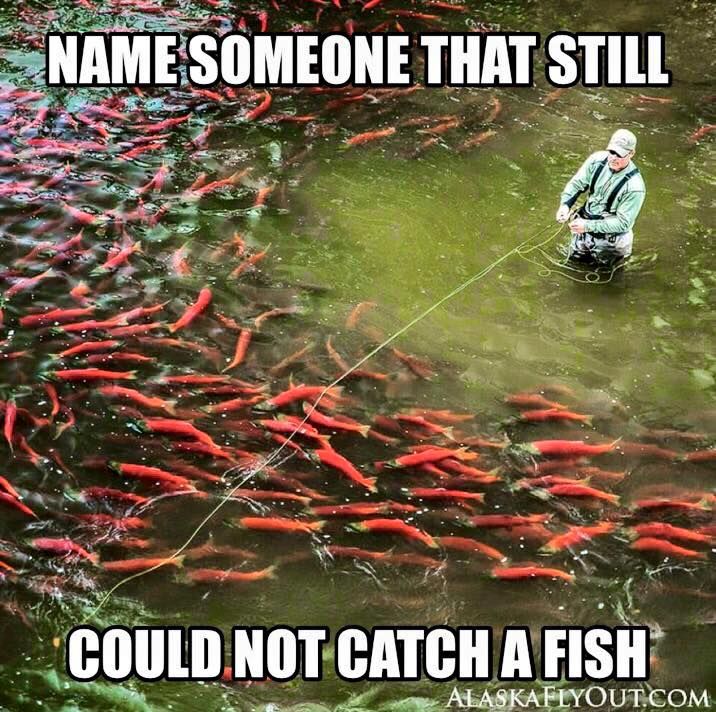 a man standing in the middle of a pond with lots of fish swimming around him