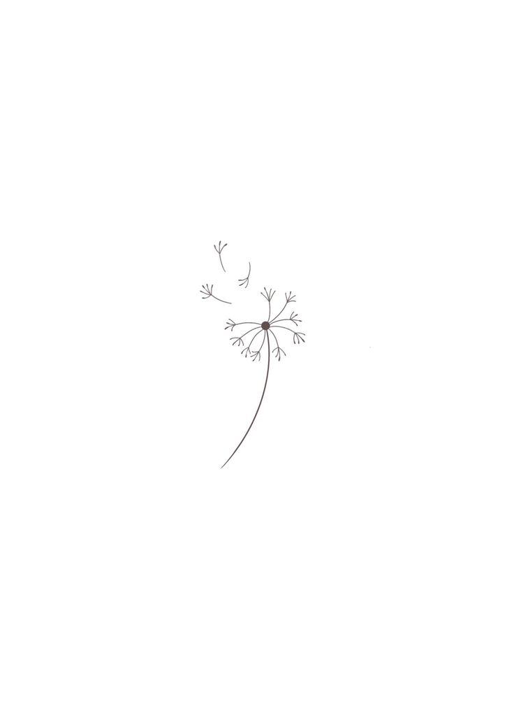 a drawing of a dandelion on a white background