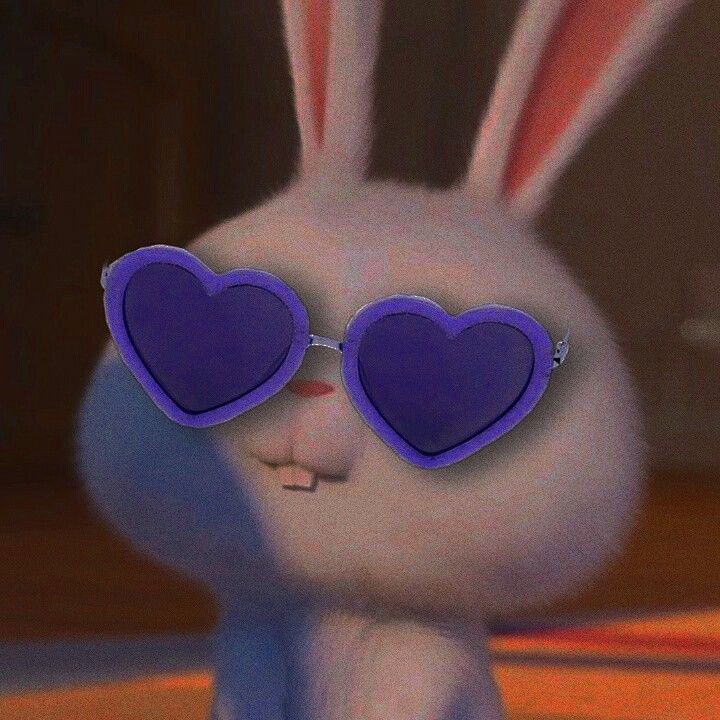 an animated rabbit with heart shaped sunglasses