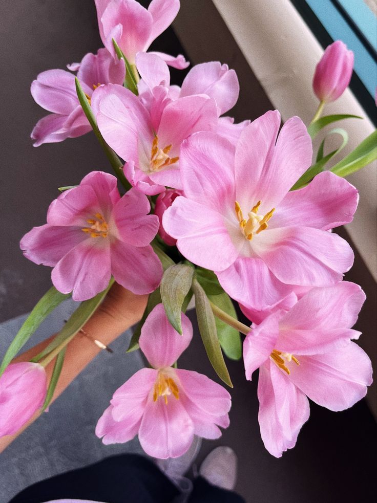 pink flowers in a vase sitting on a window sill