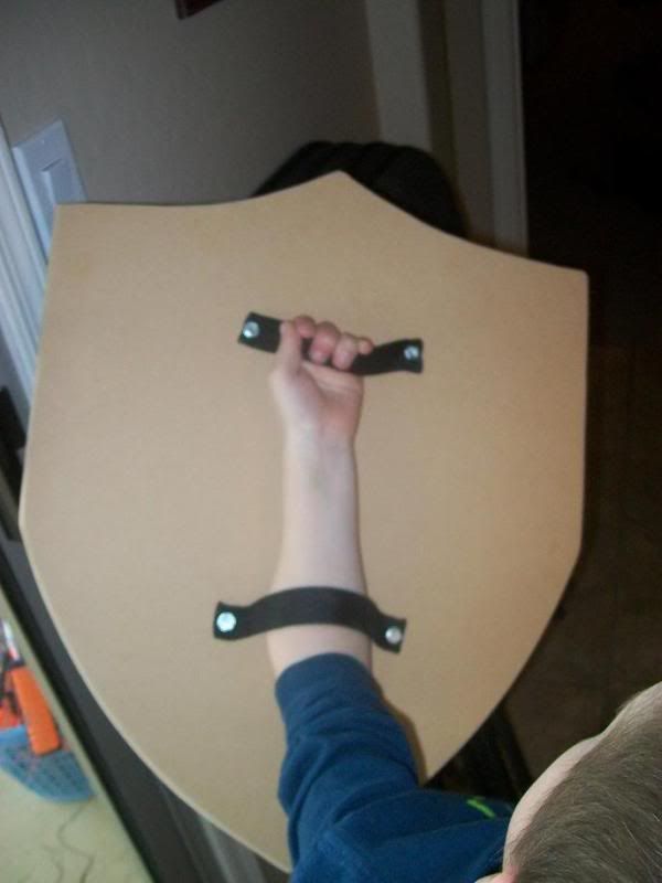 a person holding a remote control in front of a shield with two swords on it