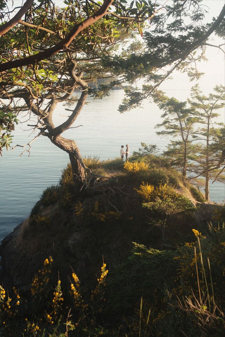 two people standing on top of a small island next to the ocean under a tree