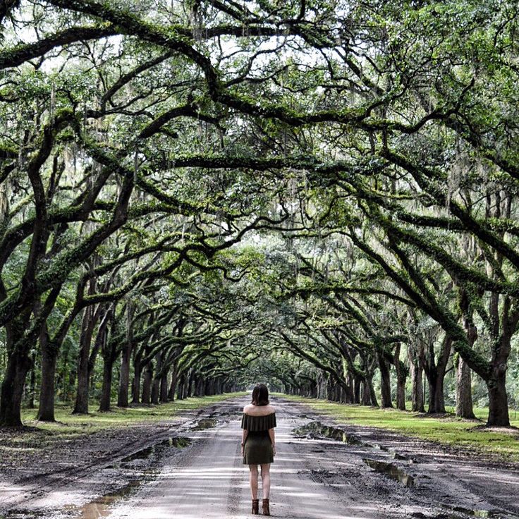 a woman walking down a road lined with trees