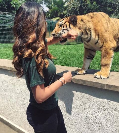 a woman petting a tiger on the nose in front of a fenced area