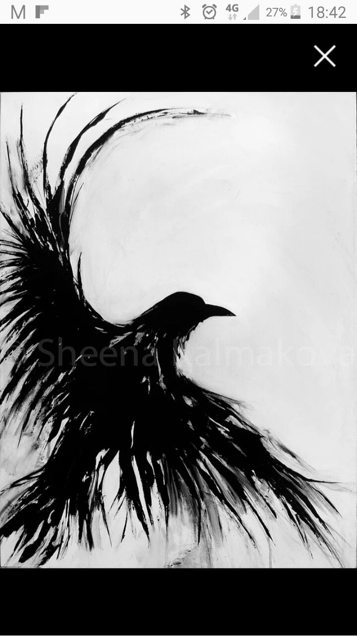 a black and white photo of a bird with feathers on it's back side