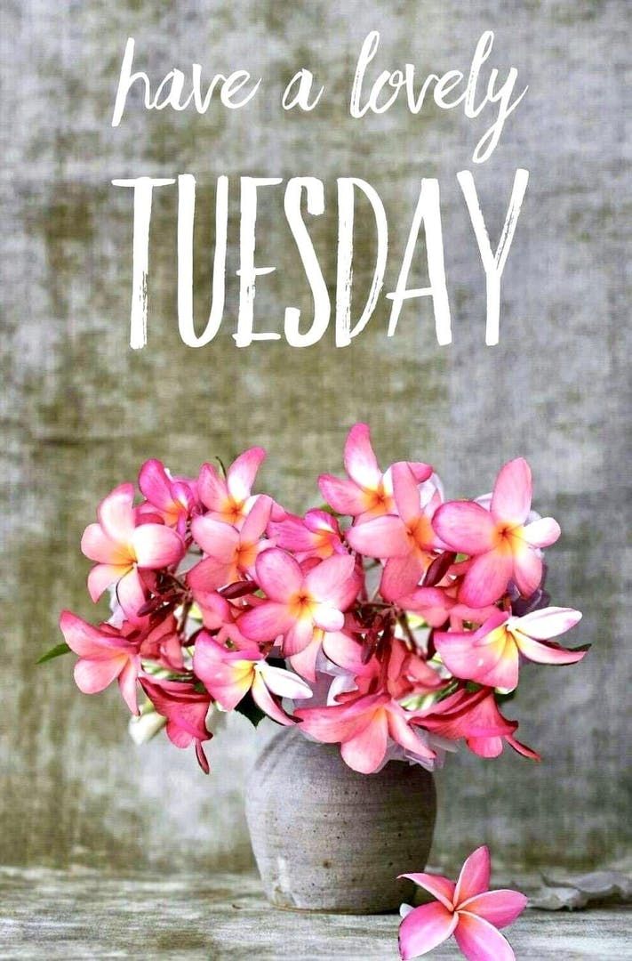 a vase filled with pink flowers sitting on top of a wooden table next to a sign that says have a lovely tuesday