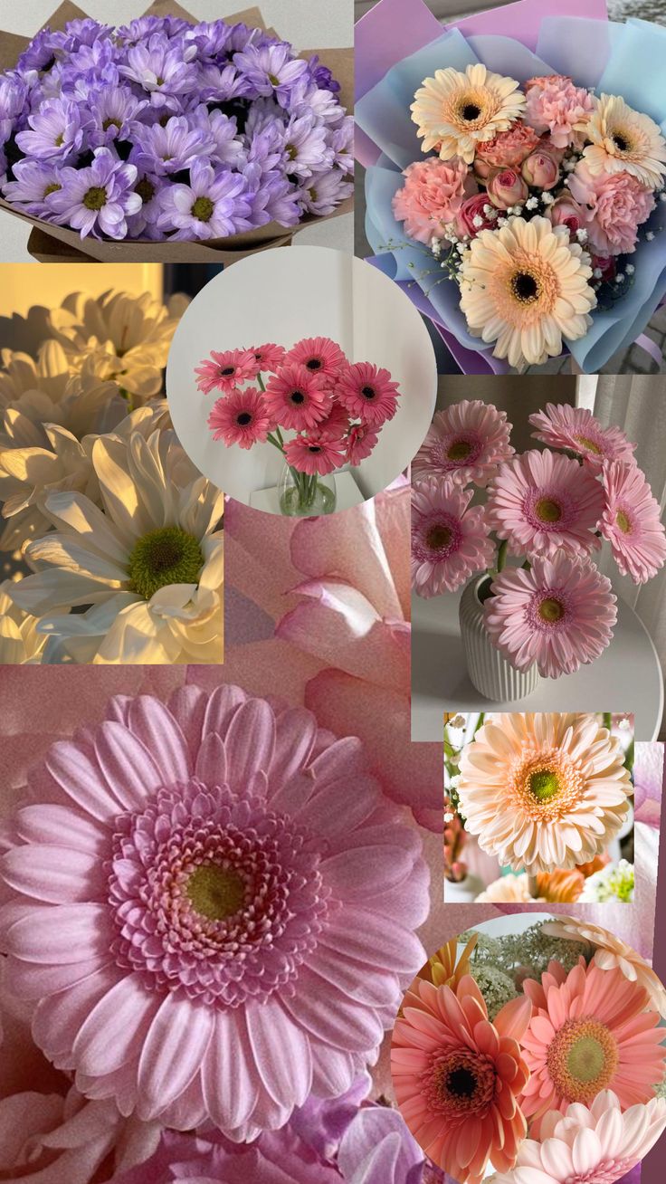 many different types of flowers are shown in this collage