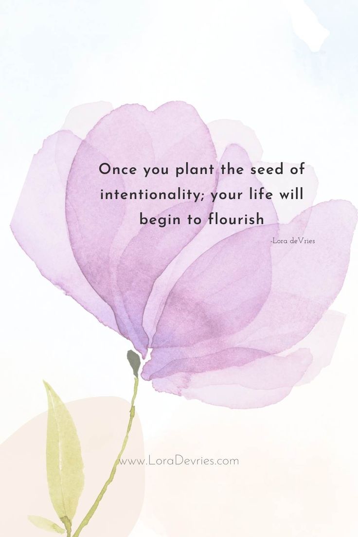 a pink flower with the words, once you plant the seed of internationality your life will begin to flourish