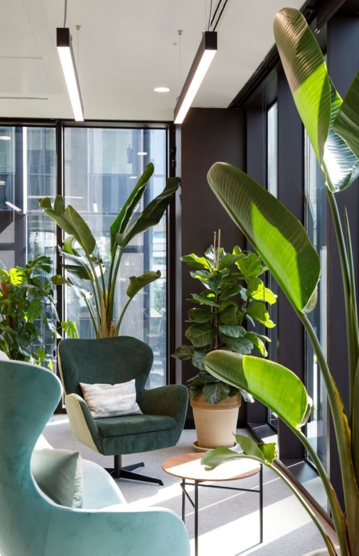 a living room filled with lots of plants next to tall glass windows on the wall