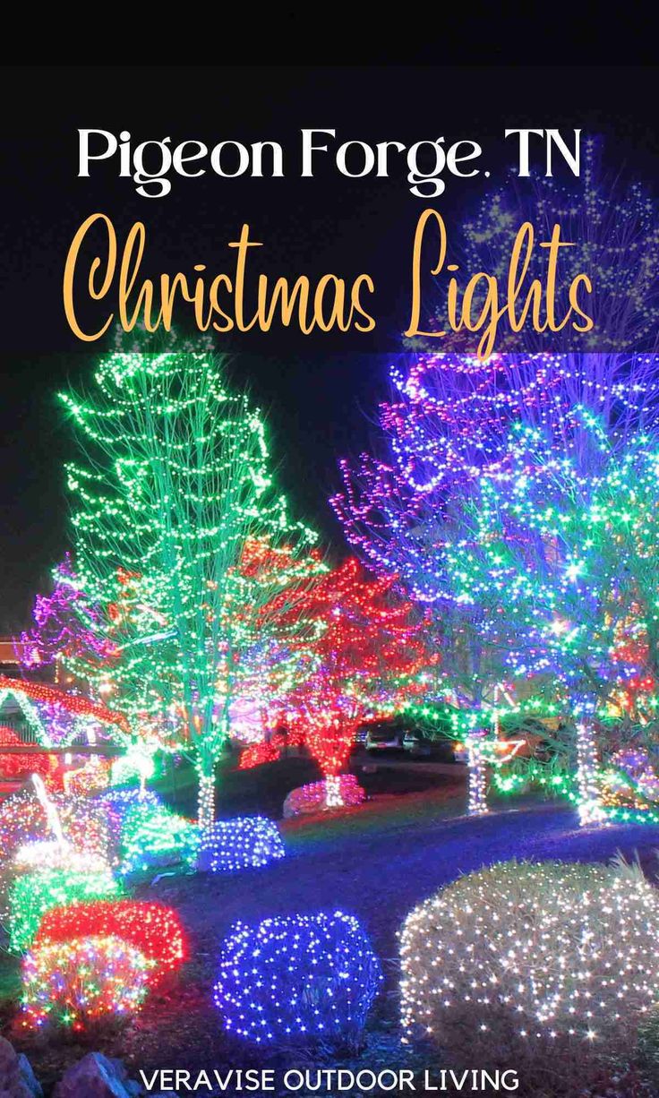 christmas lights with the title pigeonon force tn christmas lights