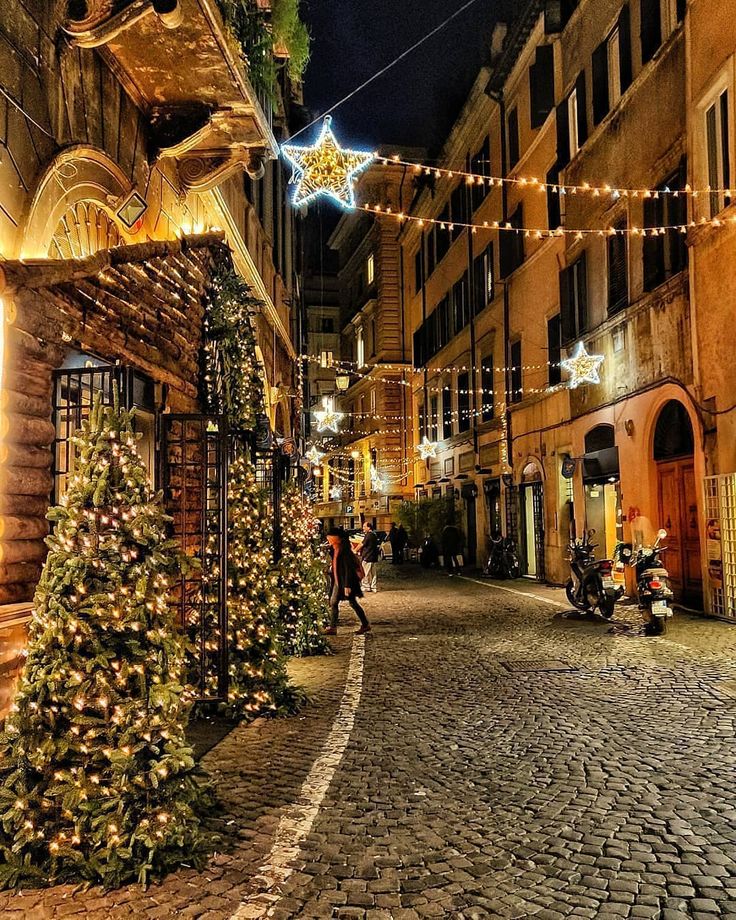 a cobblestone street is decorated with christmas lights