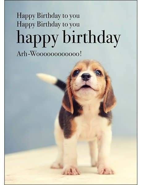 a cute little puppy is looking up at the camera and happy birthday card for him