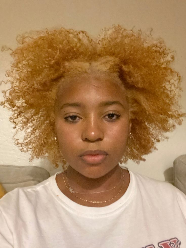 Blonde 4c Hair, Dyed Afro, Black To Blonde Hair, Ginger Blonde, Blonde Afro, Blonde Natural Hair, Going Blonde, Gorgeous Hairstyles, Natural Blonde