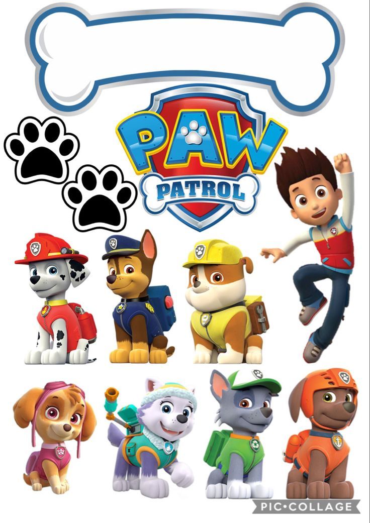 the paw patrol characters are shown in this image