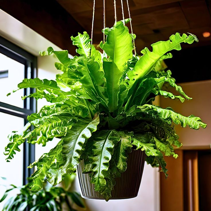 a hanging planter filled with lots of green plants