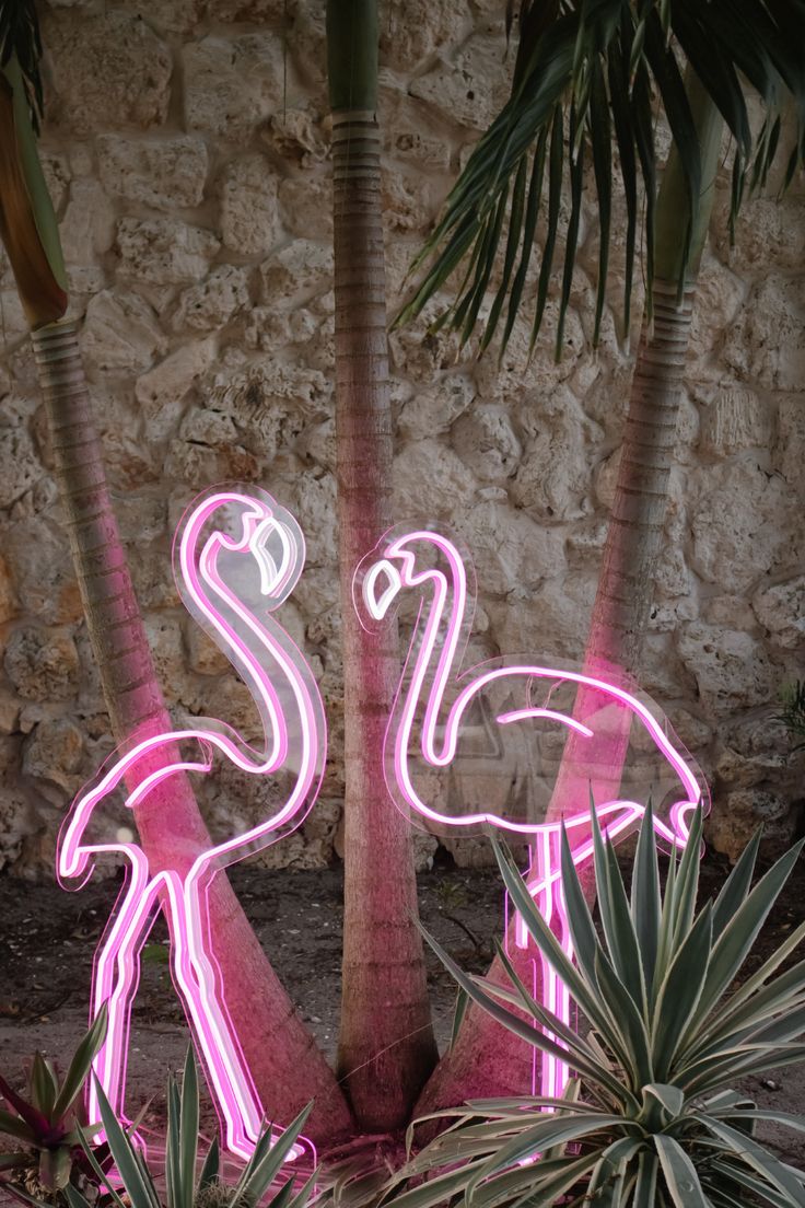 two pink flamingos standing next to each other in front of palm trees and stone wall