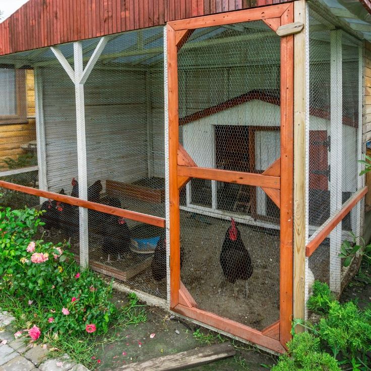 an outdoor chicken coop with the words 8 ways to prep your chicken coop for a storm