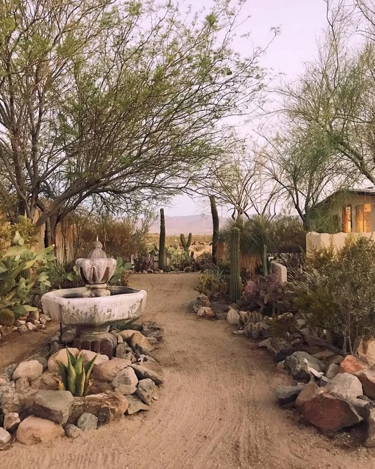 a dirt road with rocks and plants on both sides that lead to a small house