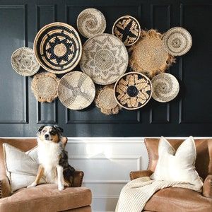 a dog sitting on a chair in front of a wall with woven baskets hanging above it