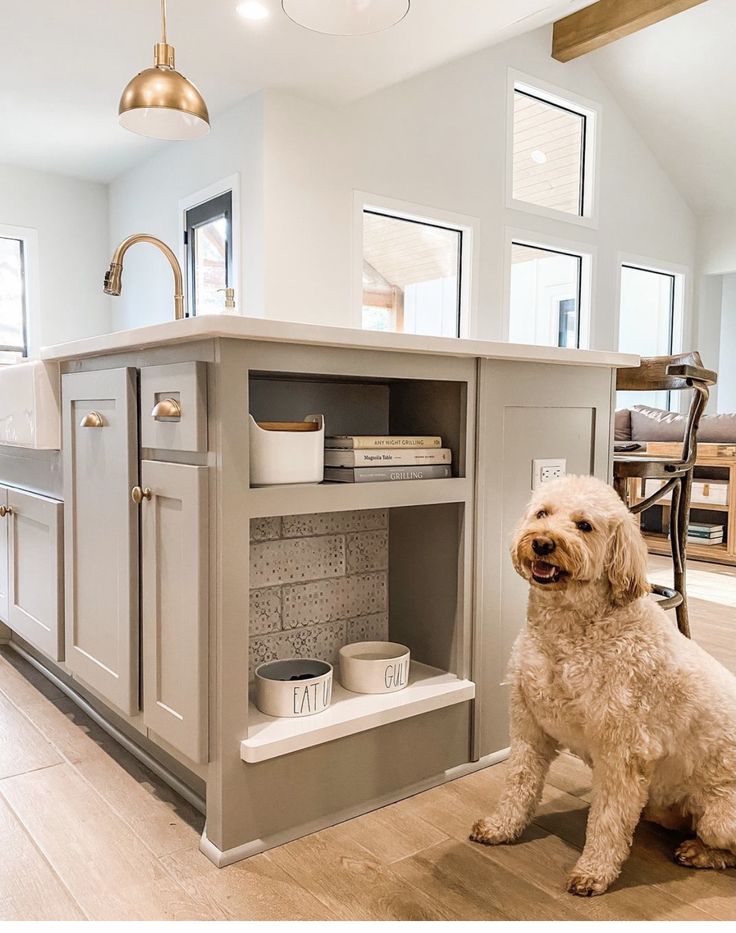 a dog sitting on the floor in front of an open cabinet