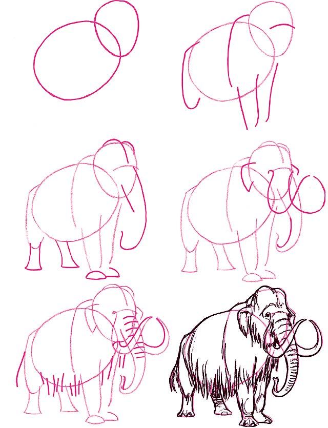 how to draw an elephant step by step