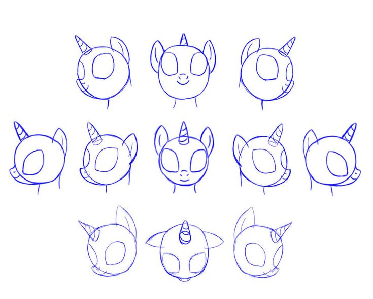 how to draw an animal head with different angles and shapes, including the eyes and ears