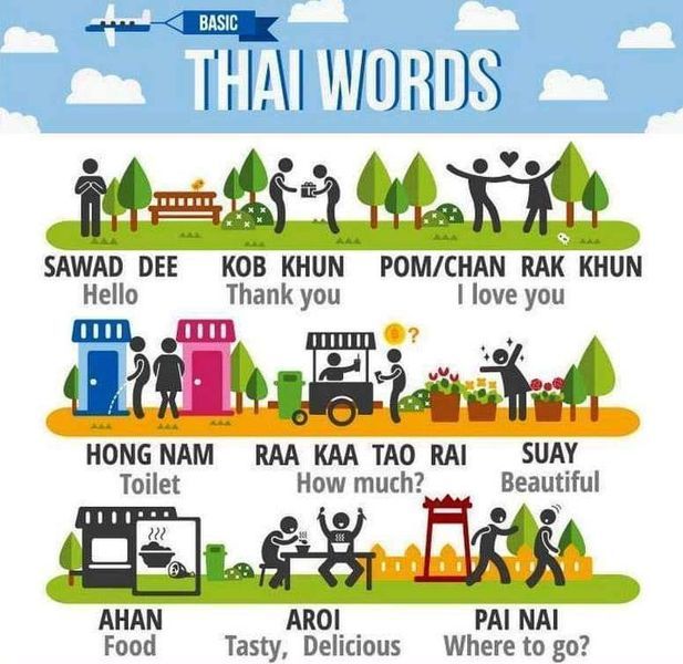 an illustrated poster with words describing the different things that are present in thai and english