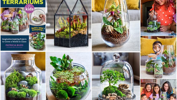 Doodle Bird Terrariums