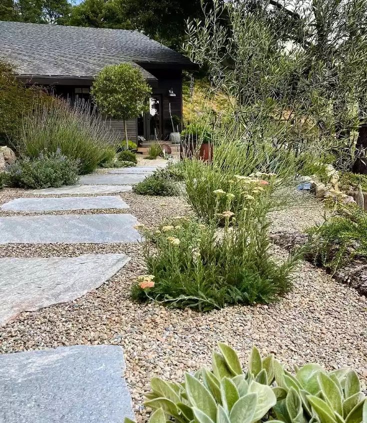 a garden with rocks and plants in front of a house