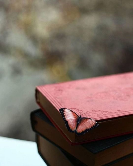 a pink book with a butterfly on it sitting on top of two other red books