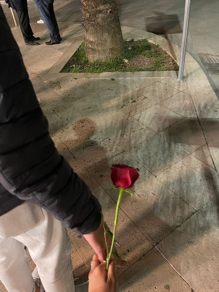 a person holding a flower on the sidewalk