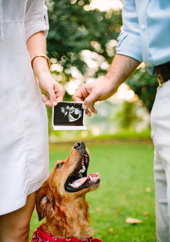 a dog with its mouth open is being held up by someone's hand while another holds