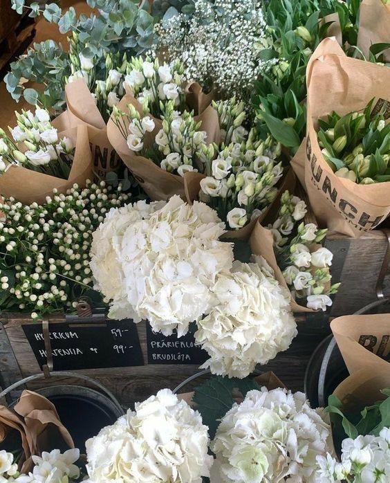 many white flowers are on display for sale